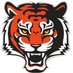 Brighton Football (@brightonfootbal) Twitter profile photo