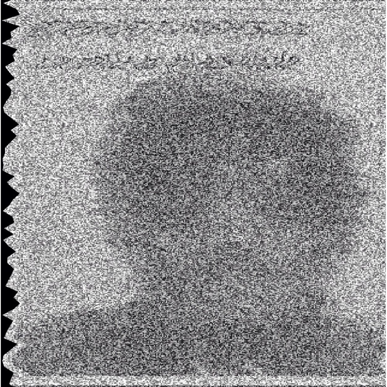 operationbas201's profile picture. OPOSICION ESTÁ VICIADA Y PENETRADA POR COMUNISTAS Comando anti Sapos #CuerpoElitedeChoqueAntiComunista #RESISTENCIA #VENEZUELA LA DERECHA ES LA SOLUCIÓN