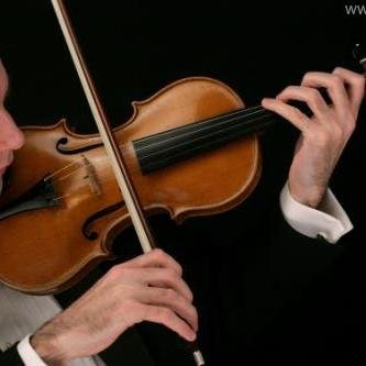 Clases de violin particulares clasesmusicagye@hotmail.com