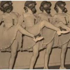 dism88's profile picture. 'Una catapulta de instintos'