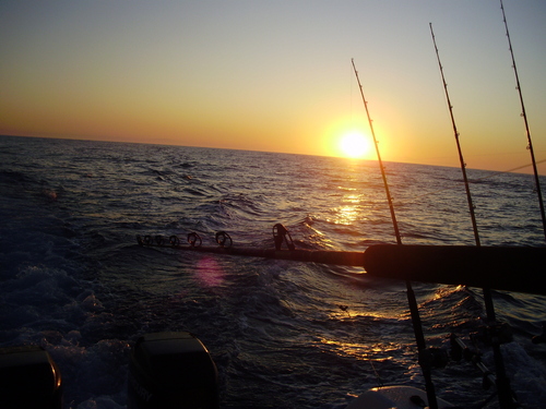 darylfw's profile picture. 