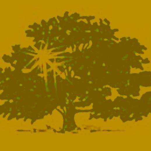 The community foundation serving Portage County, Ohio.