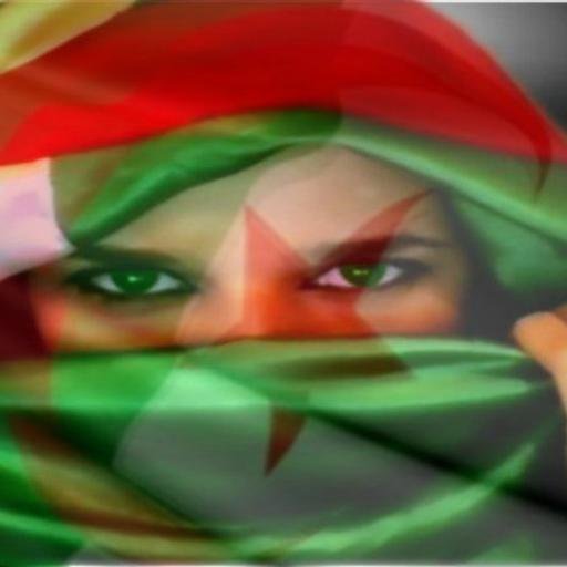 je ss  folle
je ss gentille
je voie l a vie en rose 
je ss   en couple 
j'aime a la folli mn cop1
je ss d'origine kabile
j ss de kouba