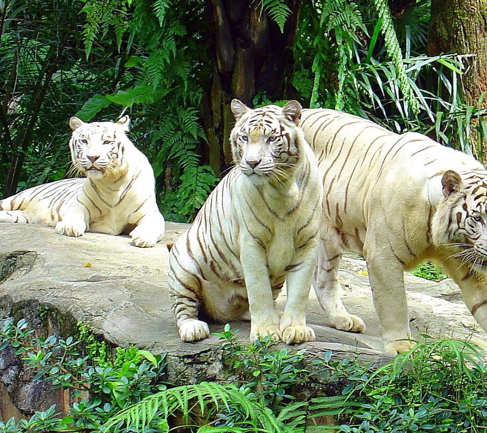 pradip_adv's profile picture. I am an Advocate n working for d poor people n women's welfare