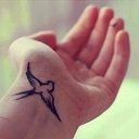 Frases de Livros - @_Thalia_Miller - Twitter