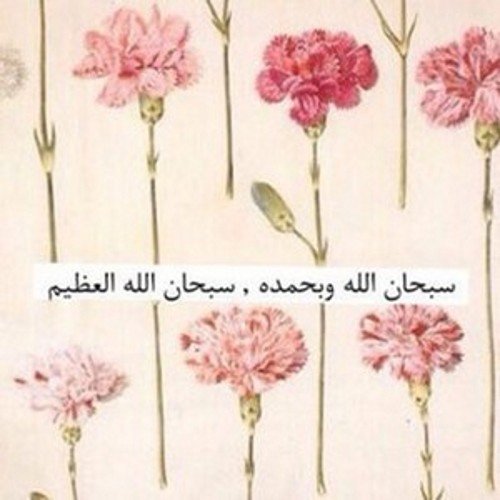 سبحان الله و بحمده سبحان الله العظيم