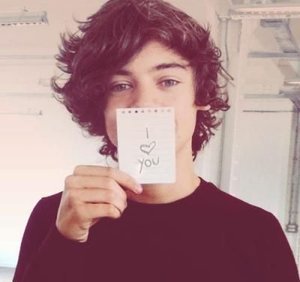 harry styles boyfriend the fans