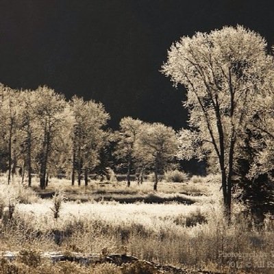 BartFeinberg's profile picture. 