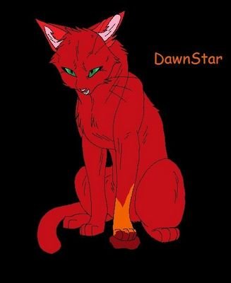 {Name:DawnStar}{Atitude:Kind/Violent}{He-Cat}{mate:none}[sometimes loving]