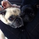 Christopher Downs - @cdowns73 - Twitter