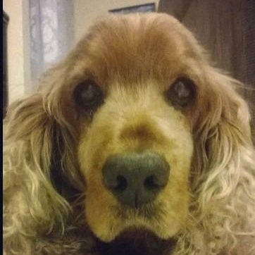 DavGrodav1's profile picture. 