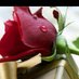 اجنبي بالخفجي (@_salman6463) Twitter profile photo