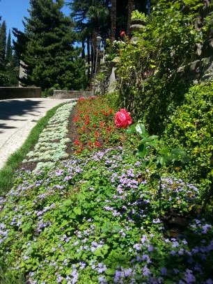 Cataline1992's profile picture. you know my name not my story  !!!!!