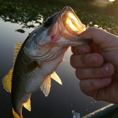 taylorethsn523's profile picture. 