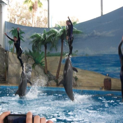 rajksinha2006's profile picture. Entrepreneur : Works only with New & Innovative Technologies. Telecom Professional; Ardent follower/self researcher of Natural healing techniques.