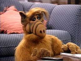 ALF is out of rehab. Follow him on his #comeback tour. #ALFaholics #TeamFollowALF