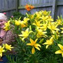 Sue Sams - @suella1939 - Twitter