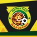 DEPORTIVO MARQUENSE (@dep_marquense) Twitter profile photo