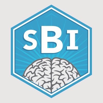 Smart Branding Innovations LLC, is the link between Small Business and the internet!