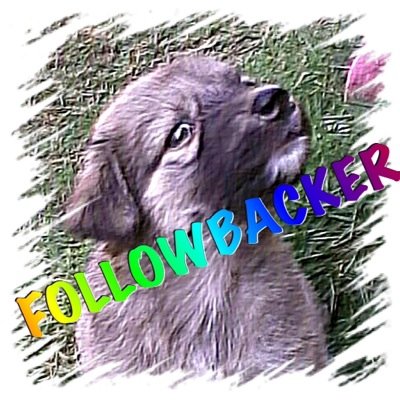 FOLLOWBACKER