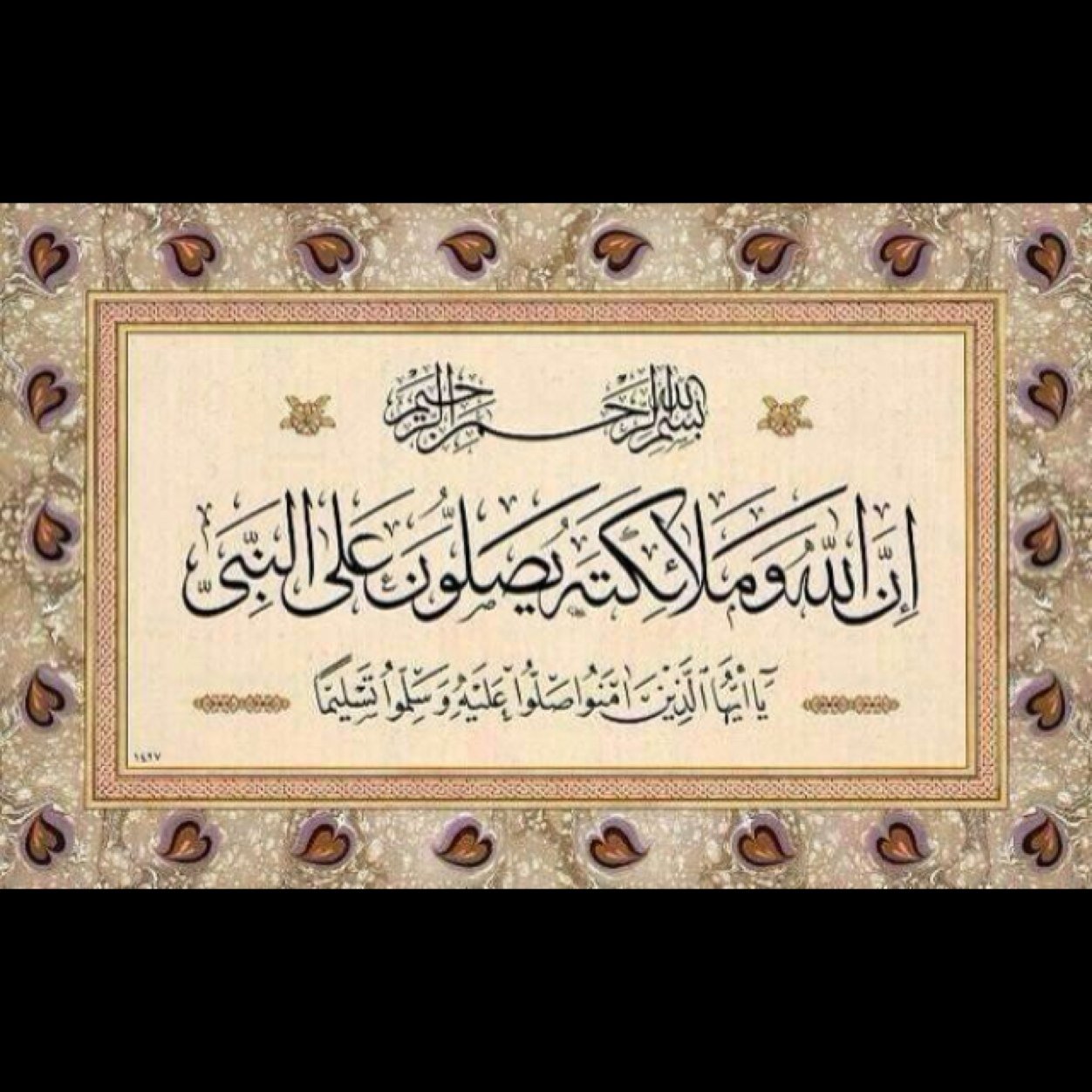 أبها موطني والخبر مسكني