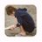 710265387's profile image