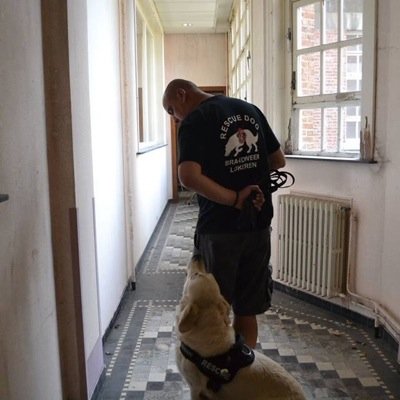 vanlaeregeert's profile picture. 