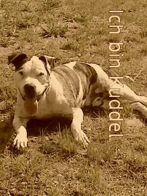 Ulfrost63V's profile picture. 