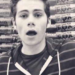 stiles1996's profile picture. #zkApes