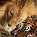 julia carmichael - @outandcrazy - Twitter