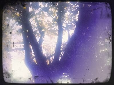 skreamingdeath's profile picture. 17. recovery? maybe. over a month clean.  yay?