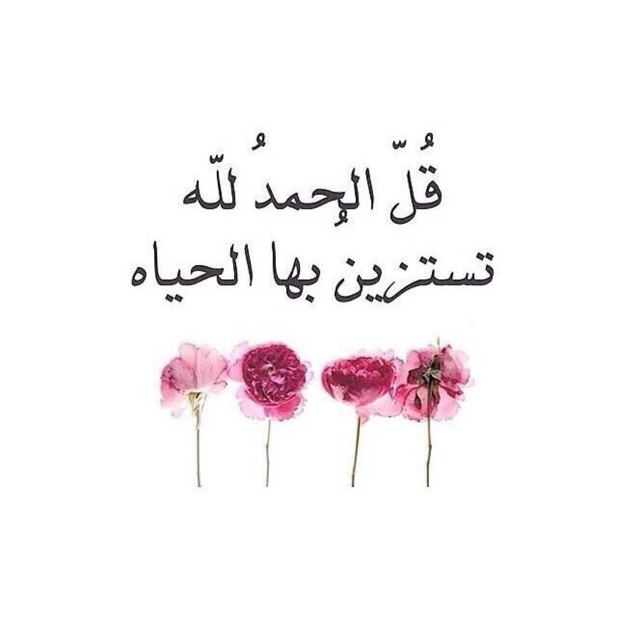 اللهم صلّ وسلم على سيدنا محمد وعلى آله وصحبه أجمعين عدد ماذكرك الذاكرون وغفل عن ذكرك الغافلون  .