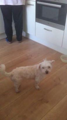 renevankooten1's profile picture. 