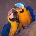 Roy Pace - @RoyPace1 - Twitter