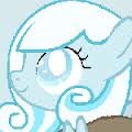 Hi my name is snowdrop ... I'm sometimes shy but I'm very nice