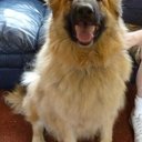 dawn atkins - @dawnatkins6 - Twitter