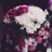 Aseel__alenzi's profile image