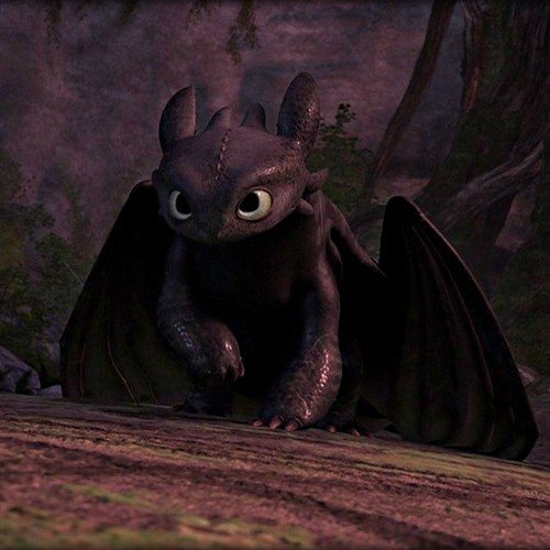If you are obsessed with How to train your dragon follow this page
