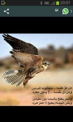 اعشق الهدوء والكتمان والنعومة والجمال