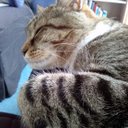 Liz Conway - @lizconway09 - Twitter