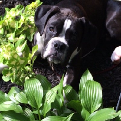 KevboGr's profile picture. 🥶💊