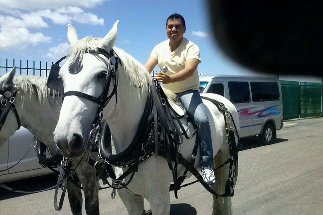 diegoadlai Profile Picture
