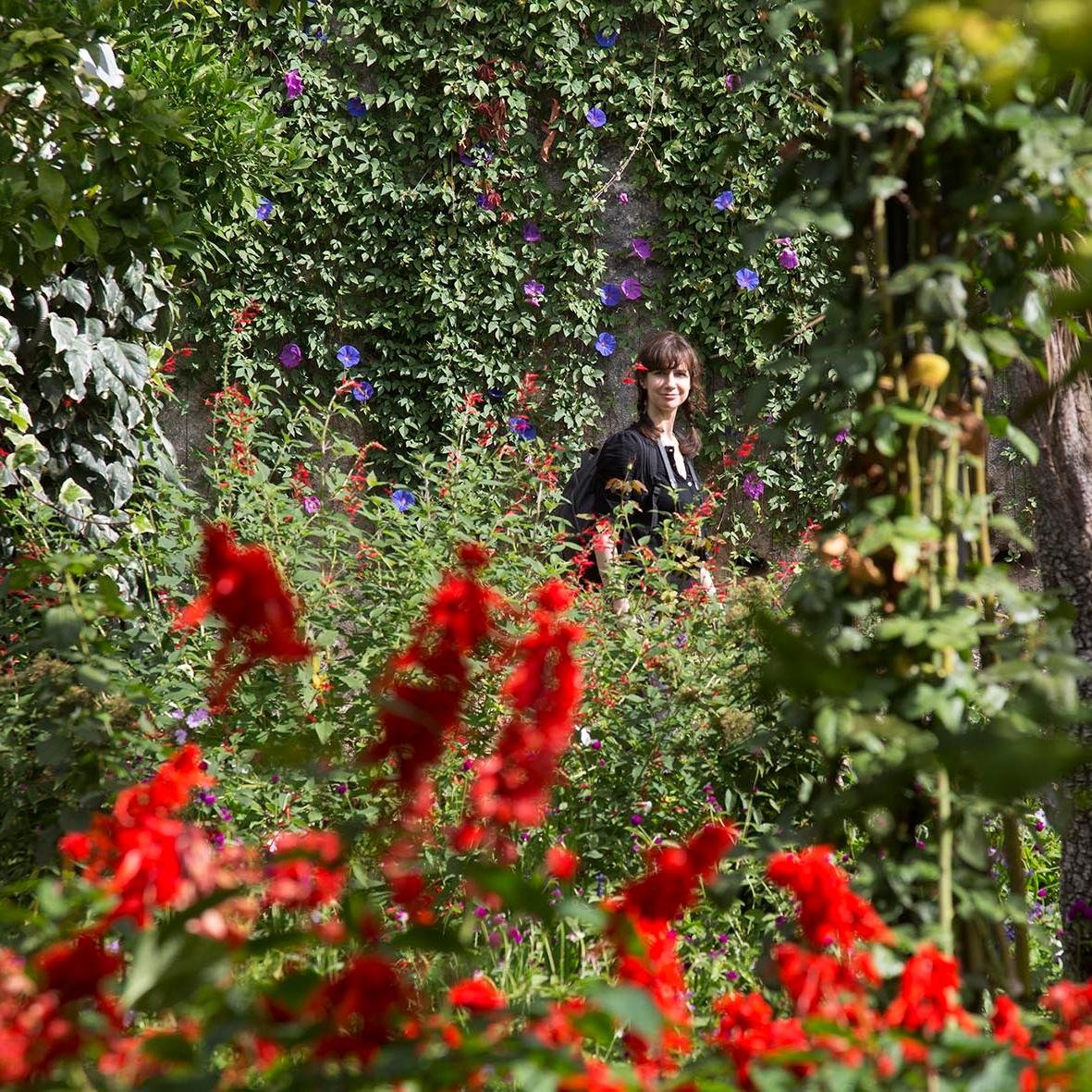 chachahaz's profile picture. -