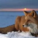 Troy Noble - @tninmt - Twitter