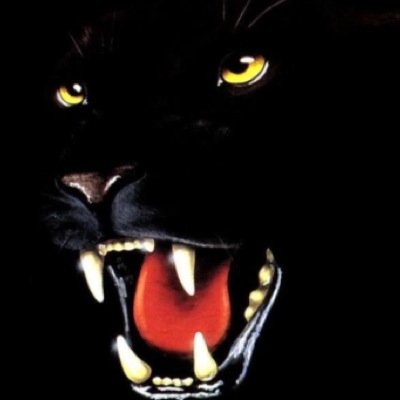 BJWATTSY's profile picture. Love sport,Video games And helping play Cod, soccer,Aus FOOTBALL, minecraft... More