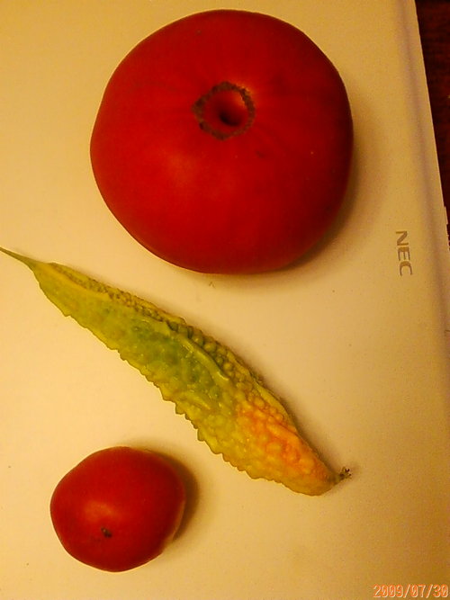 komagomedei's profile picture. 