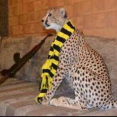 انا لاعب بس مافي نادي يبقاني 533375015 رقمي