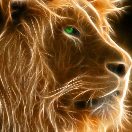 leo.de leo.de