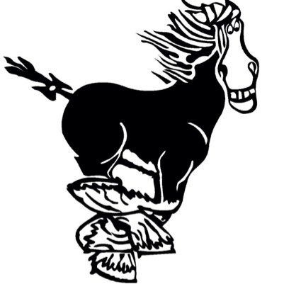 Magnumhorsebox's profile picture. Magnums selfdrive horsebox hire. Brand new build horsebox to hire.