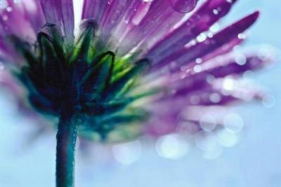 1418_dodo's profile picture. ‏‏زياده متابعين فقط سوي رتويت                                                 تاابعني اتابعك$